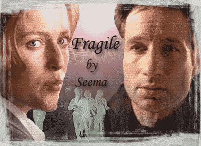 Fragile by Seema